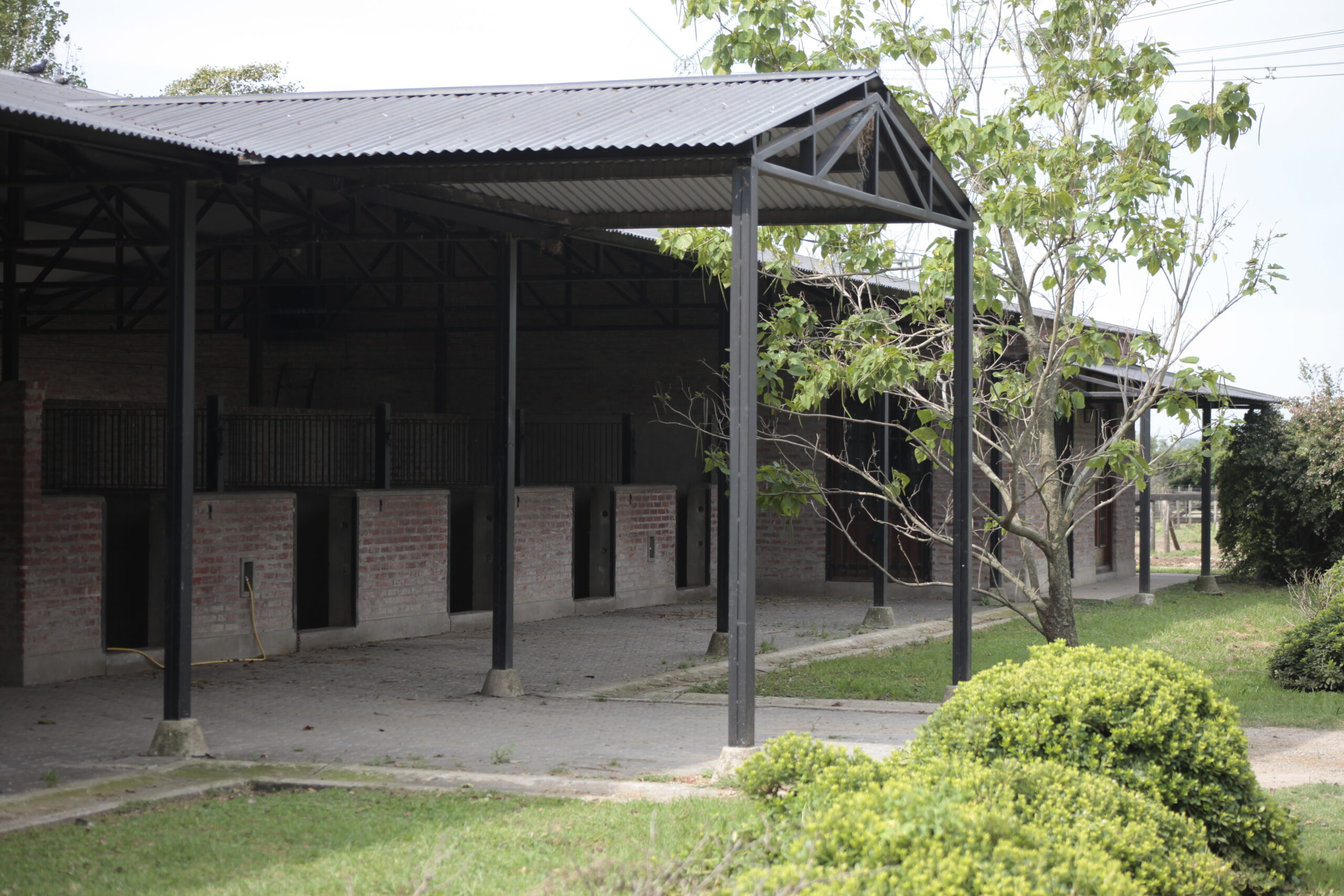 Caballeriza 8
